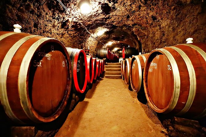 Half Day Tokaj Wine Tasting Tour in Mád Hungary with lunch - Should you book the Mád wine tasting tour?