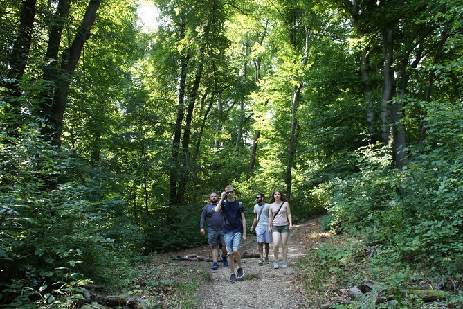 Hiking in Budapest - Forest details with a local guide