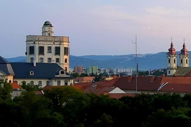 Home to Bull's Blood red wine! Eger with winetaste private tour - What the private format changes
