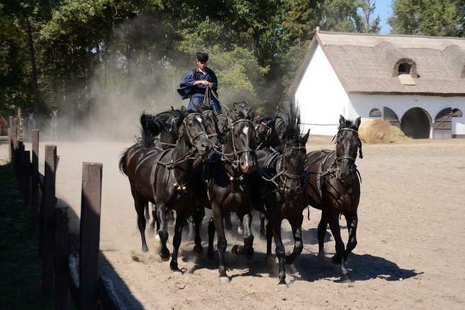 Horseshow on the Hungarian Puszta, private tour from Budapest with entry! - From Budapest to the Hungarian Puszta