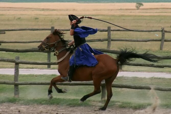 Horseshow on the Hungarian Puszta, private tour from Budapest with entry! - Hungarian lunch and wine are included