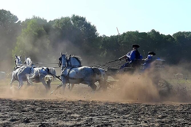 Horseshow on the Hungarian Puszta, private tour from Budapest with entry! - What the $360 price really buys
