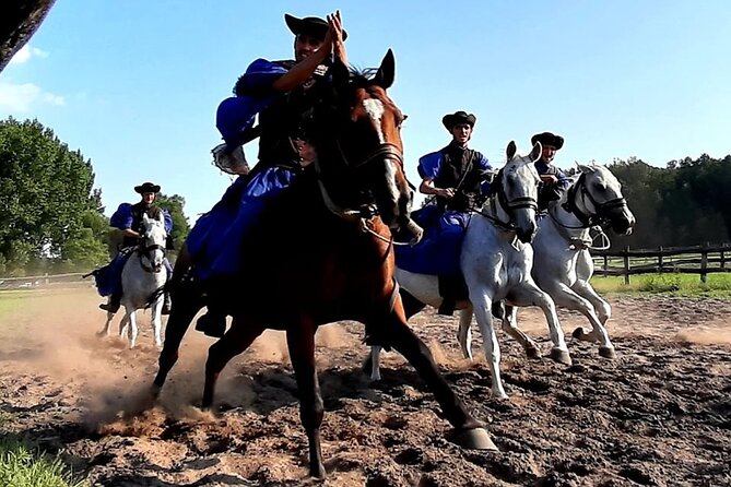 Horseshow on the Hungarian Puszta, private tour from Budapest with entry! - Practical details that matter