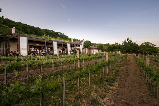 Lake Balaton Full Day Private Wine Tour - Lunch keeps the tasting day practical