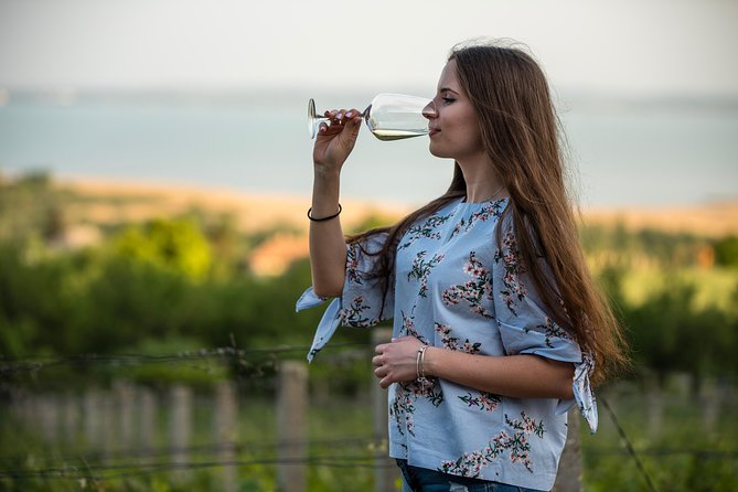 Lake Balaton Full Day Private Wine Tour - Who will enjoy this day most