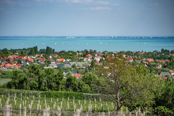 Lake Balaton Full Day Private Wine Tour - Tihany Peninsula and the Echo viewpoint