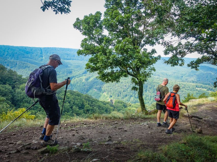 One Day Wonder Hike - The Essence of the Danube Bend - Key points to know before booking