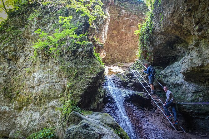 One Day Wonder Hiking Trip - A long return through quieter woodland