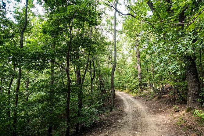 Panoramic hike around Budapest - Who should book this hike
