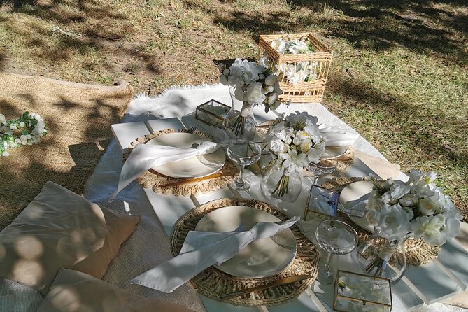 Picnics experience in Hungary - What This Budapest Picnic Actually Feels Like