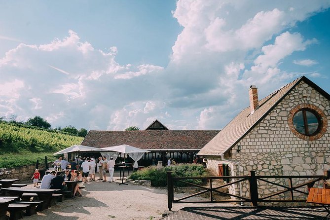 Private Etyek Wine tour with dinner including a Budapest Danube Evening Cruise - A traditional two-course dinner in the winery