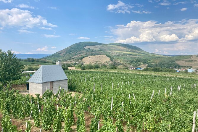 Private Full Day Tour to Eger - History, Culture and Wine - Wine cellars in the Valley of the Beautiful Woman