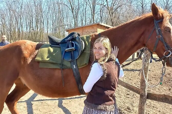 Private Horse Riding near Budapest with transport - A ride shaped around your ability