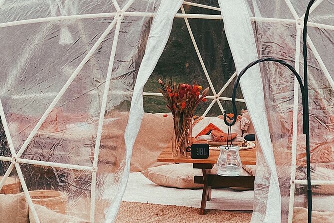 Private Igloo Picnic Experience Hungary - Inside the heated igloo