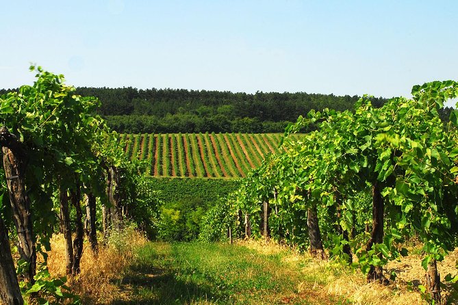 Private Lake Balaton Experience with an unforgettable Wine Tasting - Why Lake Balaton works as a day trip from Budapest