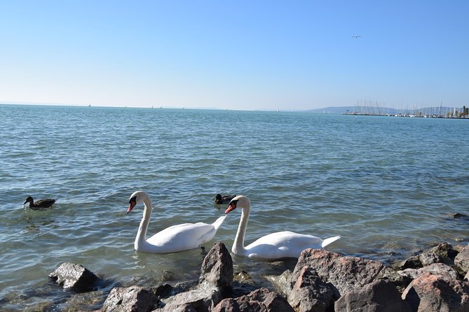 Private Lake Balaton Experience with an unforgettable Wine Tasting - What the private guide adds