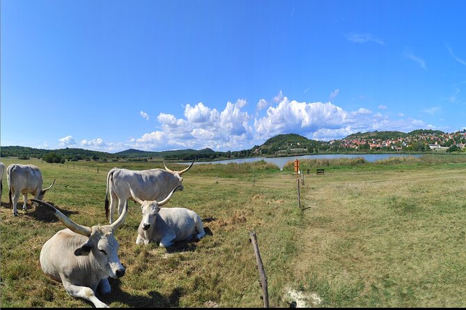 Private tour from Budapest to a top hidden treasure region of Europe: Lake Balaton - Private transport changes the pace