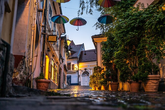 Scenic Danube River bend hills & the Art Town: Private Car Tour - Visegrád and the Danube Bend panorama