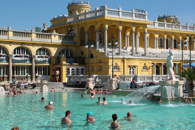 Széchenyi Thermal Spa Palm House Pass - Exclusive Area - Pool, sauna, and steam room in the exclusive area