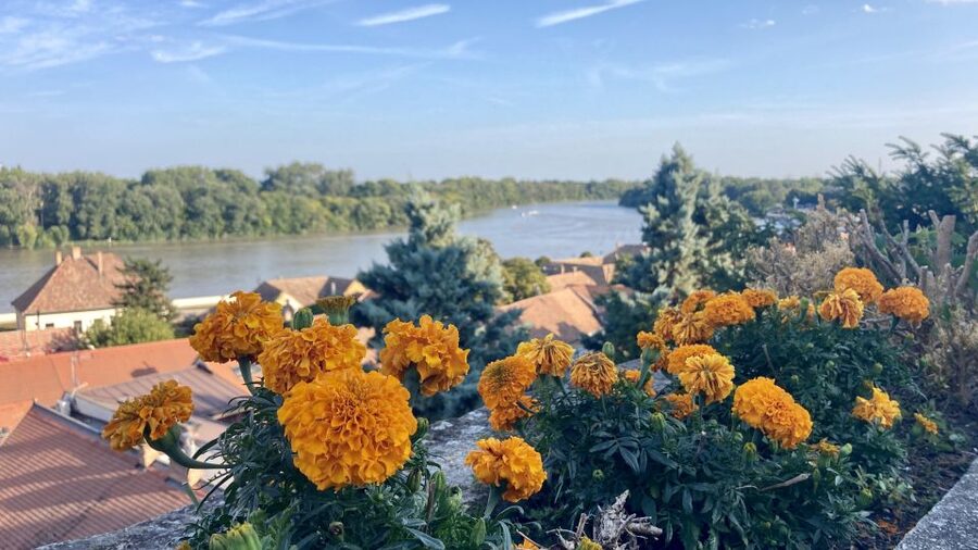 Szentendre: Arts and Cafés Tour (Half-Day Private Tour) - Why Szentendre makes an easy Budapest outing