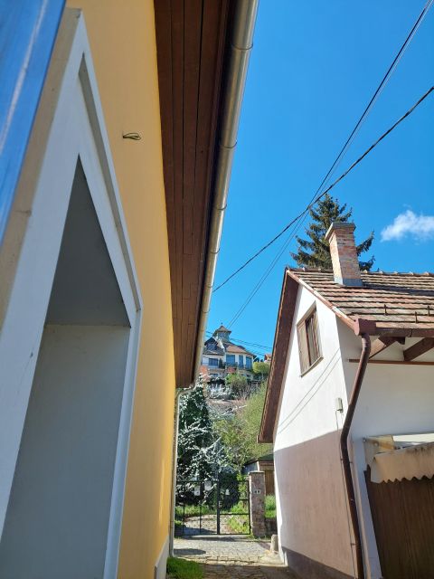 Szentendre: Half-Day Private Tour from Budapest - Returning to Budapest by boat