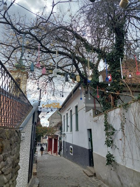 Szentendre: Half-Day Private Tour from Budapest - From Budapest to the Roman coast and ruins