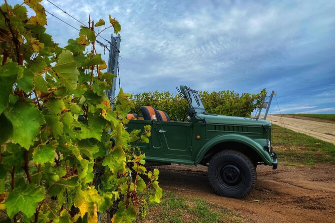 The only Wine Cocktail Club in Tokaj, Lunch & Fun, Hungary - Price, Pickup, and Cancellation Details