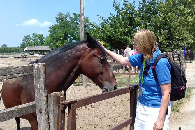 The "Puszta" Horse Show - What makes the horse show worth seeing