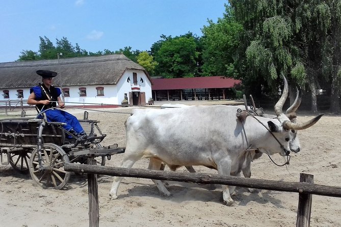 The "Puszta" Horse Show - A proper Hungarian lunch is part of the value
