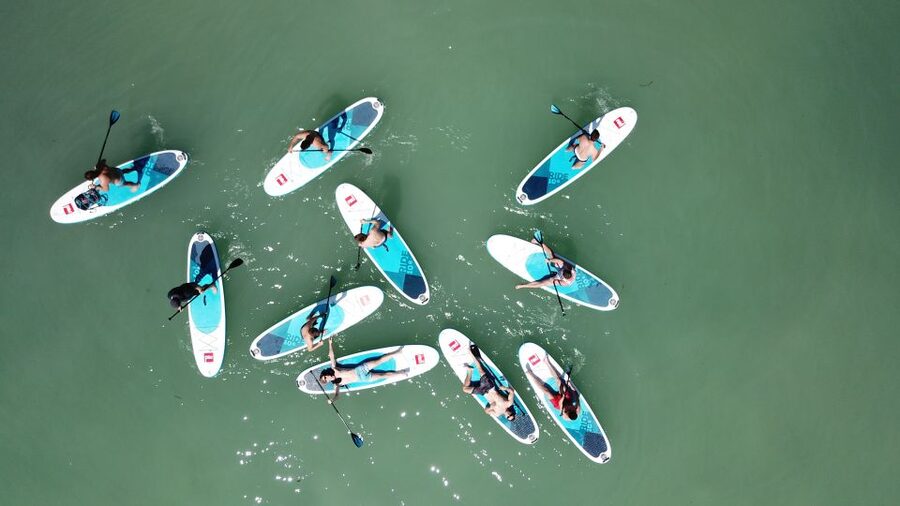 Tihany: SUP Course and Tour at Lake Balaton - The first lesson: boards, paddles, and basic balance