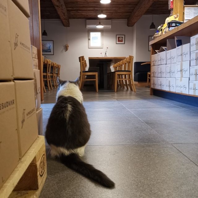 Tokaj: Classic Wine Tasting - Should you book Hímesudvar?