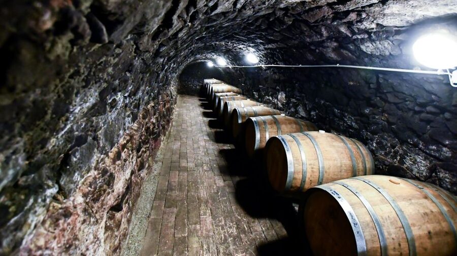 Tokaj: Classic Wine Tasting - Cheese, bread, olives, and water