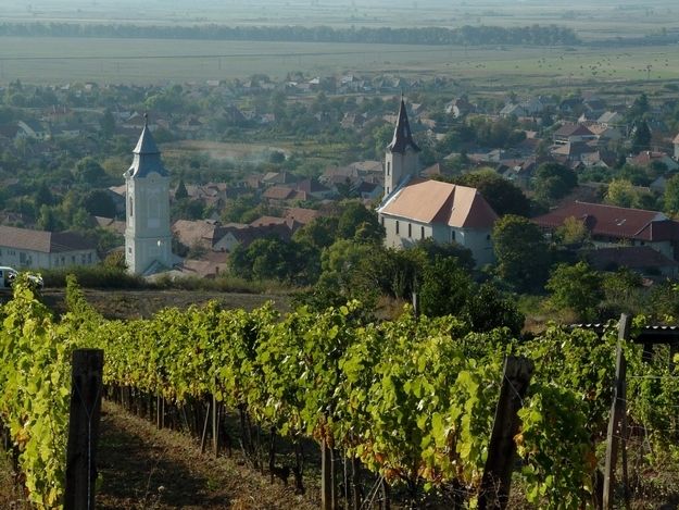 Tokaj Private Day Tour from Budapest - Key points to know before booking