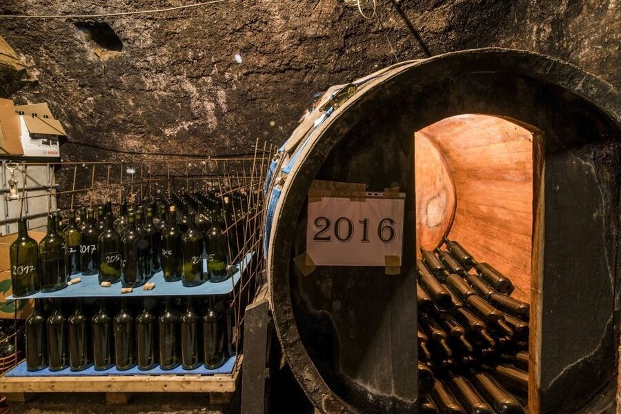 Tokaj Private Day Tour from Budapest - A guide-led day with room for questions