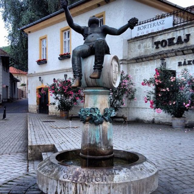 Tokaj Private Day Tour from Budapest - What the $965 group price means