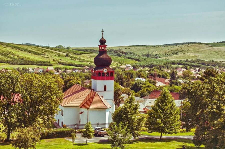 Tokaj Private Day Tour from Budapest - Who will enjoy this Tokaj trip most