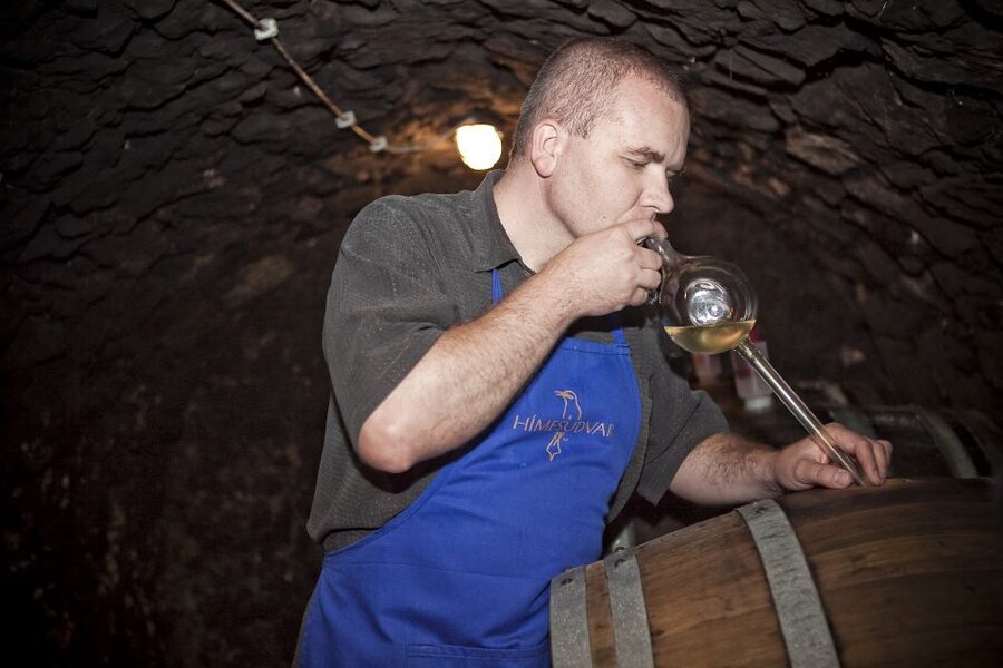 Tokaj: Vineyard Tour & Tasting - Inside the Hímesudvar winery and cellar