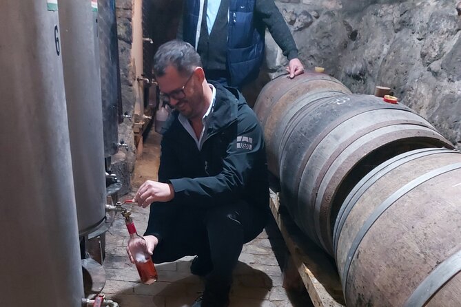 Wine Tasting in the Countryside from Budapest - Key points at a glance
