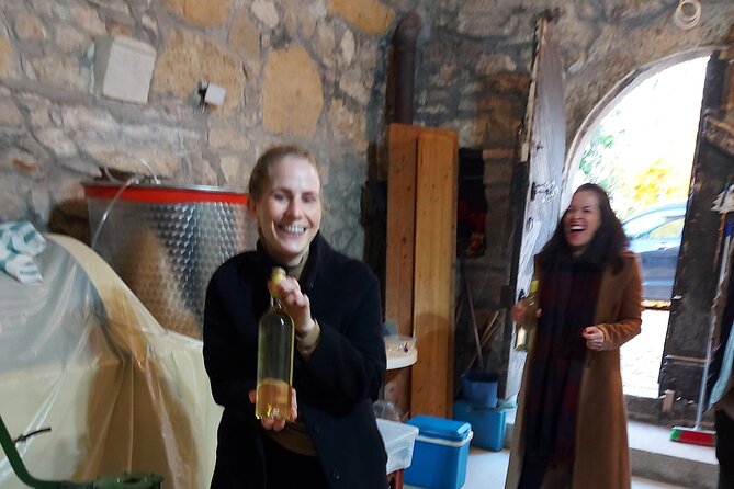 Wine Tasting in the Countryside from Budapest - Entering the old cellar village