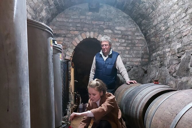 Wine Tasting in the Countryside from Budapest - Tasting Hungarian whites, rosés, and reds